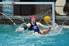 WWPolo vs CC  Wheaton College Women’s Water Polo vs Connecticut College. - Photo By: KEITH NORDSTROM : Wheaton, water polo